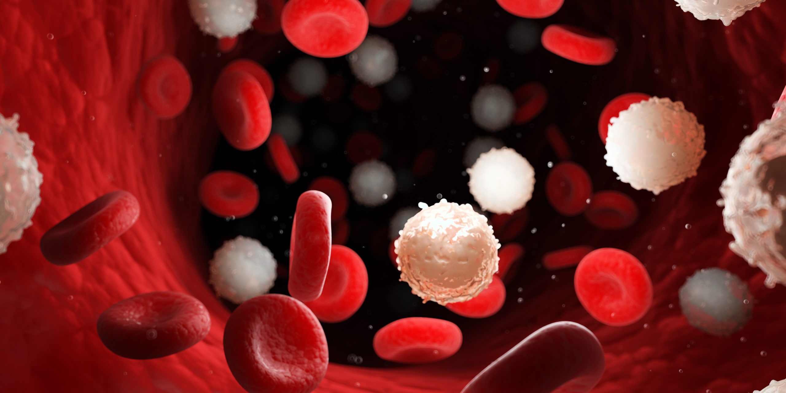 Blood Cancer