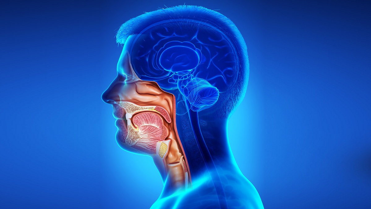 Head and Neck Cancer