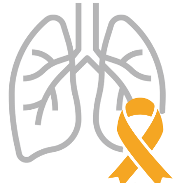 Lung